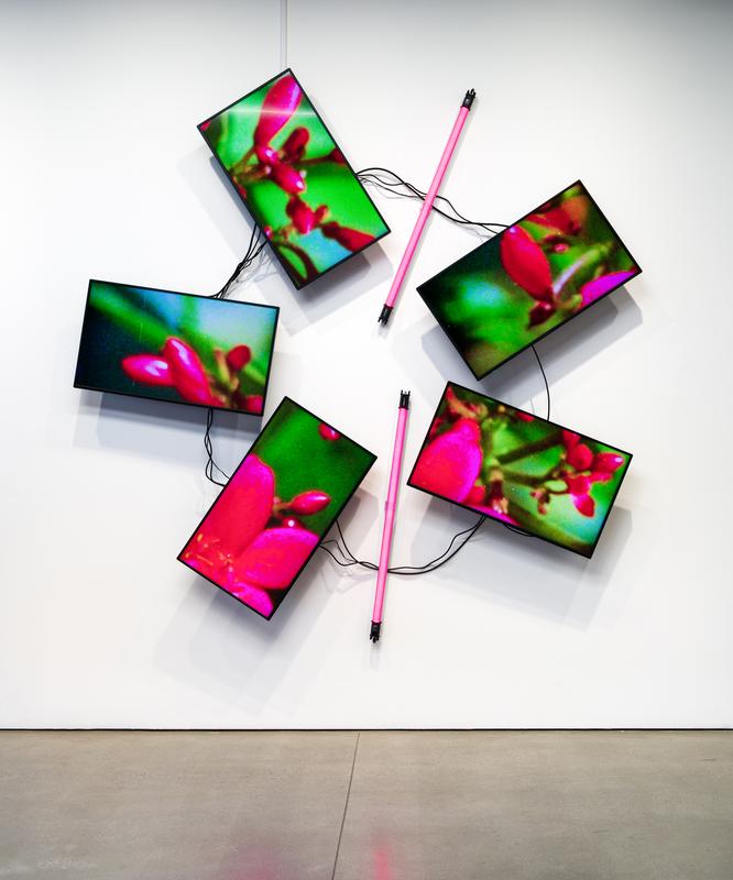 ArtCenter Graduate Art MFA Program