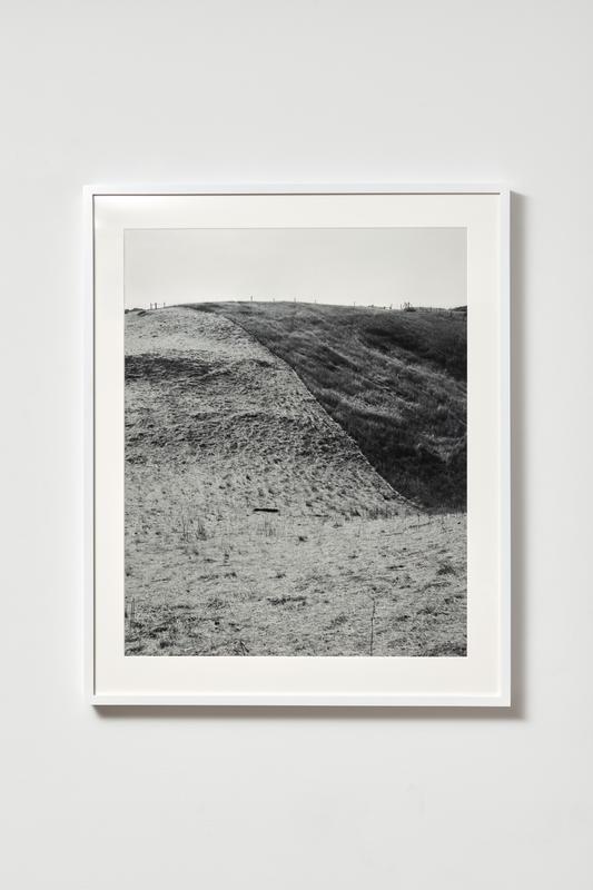 Daniel Rampulla , Half Cut , 2019. Gelatin silver print. 30 x 24 inches.