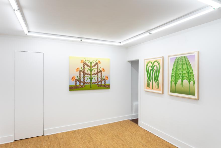 Molly Greene: Other Gardens (installation view).
