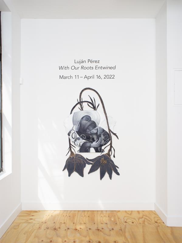 Luján Pérez:  With Our Roots Entwined  (installation view).