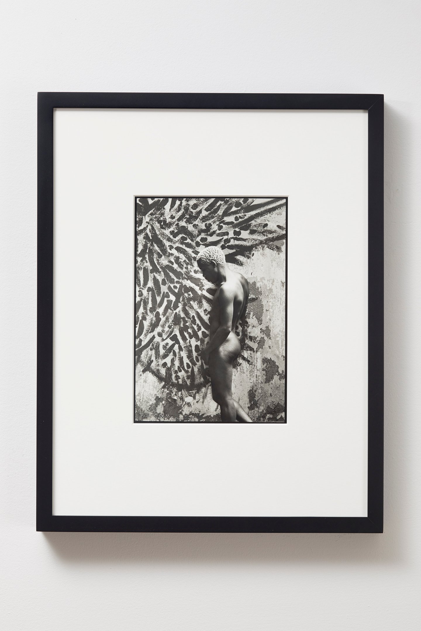 stanley-stellar-photographs-1979-1992-kapp-kapp