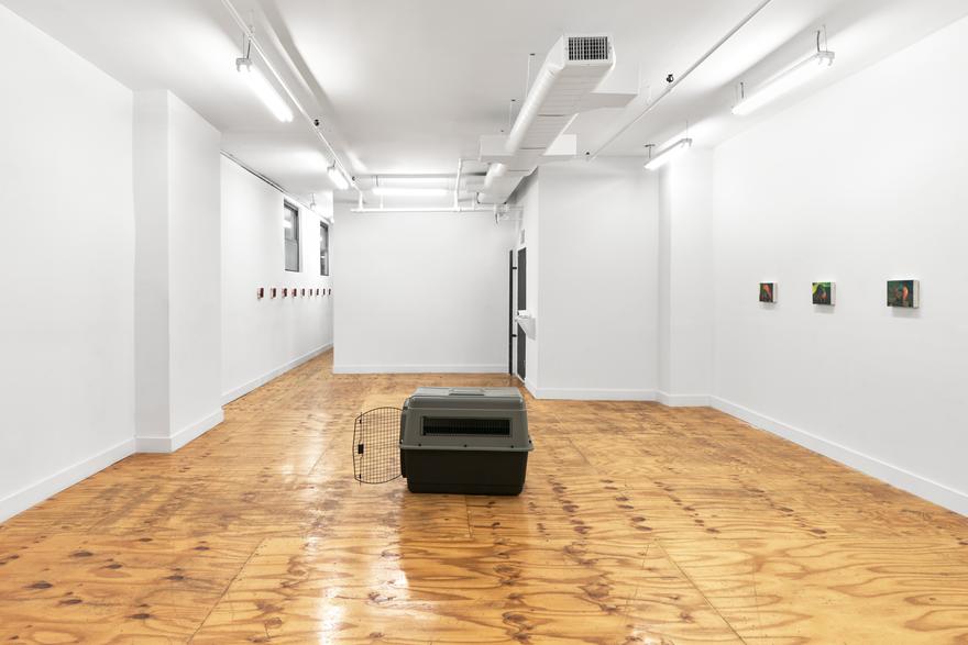 Lucien Smith: A Day Above Ground is a Good One (installation view).