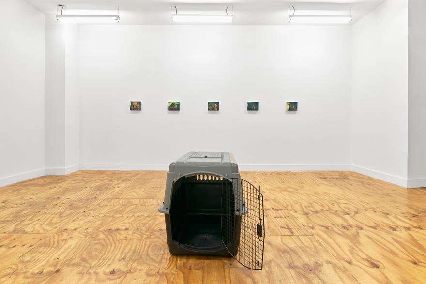 Lucien Smith: A Day Above Ground is a Good One (installation view).