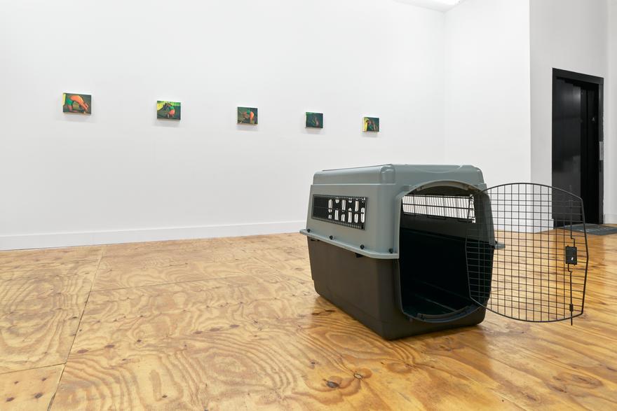 Lucien Smith: A Day Above Ground is a Good One (installation view).