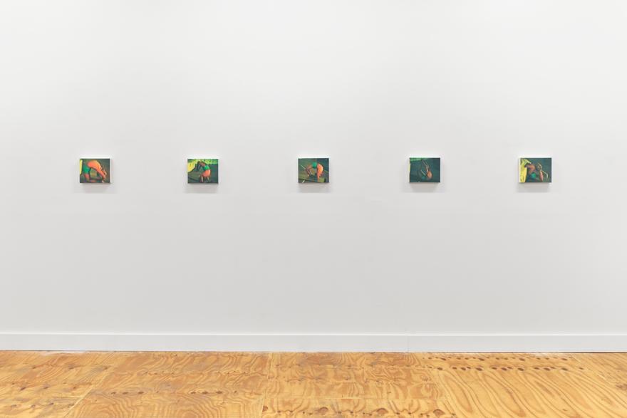 Lucien Smith: A Day Above Ground is a Good One (installation view).