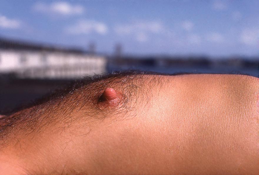 Stanley Stellar, Nipple Blue Sky, 1977
