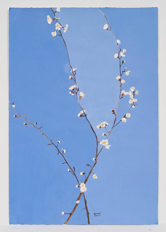 Gilbert Lewis,  Untitled Cherry Blossoms , c. 1980.