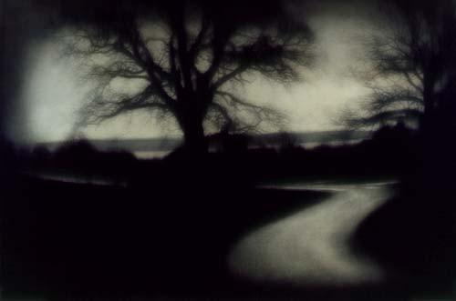 Rocky Schenck | Kopeikingallery.com