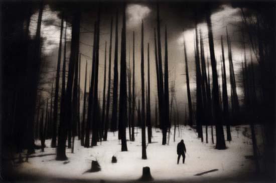 Amazon.com: Rocky Schenck: Photographs (Wittliff Gallery