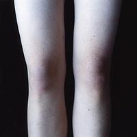 Galateas /Carla Van de Puttelaar★値下げしました Galleries and contact | Carla van de Puttelaar