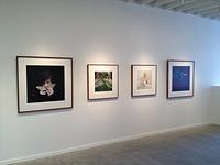 You look at me like an Emergency | Kopeikingallery.com