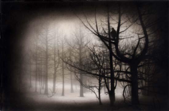 Rocky Schenck | Kopeikingallery.com