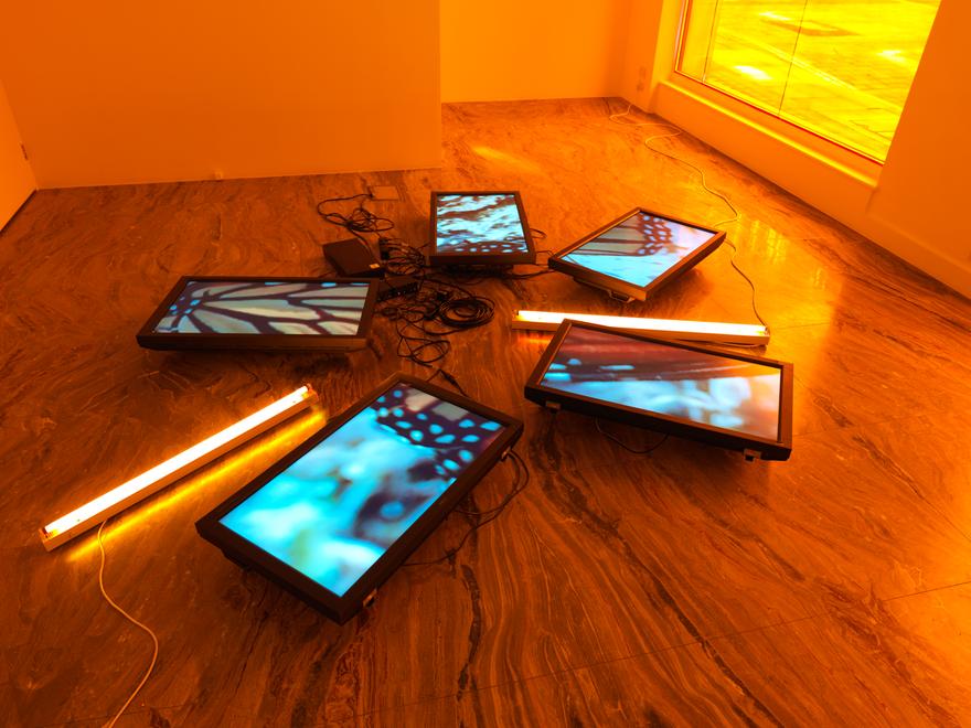 Untitled (Butterfly Videowall #2) , 2009 Five (5) video monitors, one (1) media player, two (2) fluorescent light fixtures, Lee filters and existing architecture, Dimensions variable Installation View, Hauser & Wirth, Swallow Street, London, England, 2009 Photo by Mike Bruce