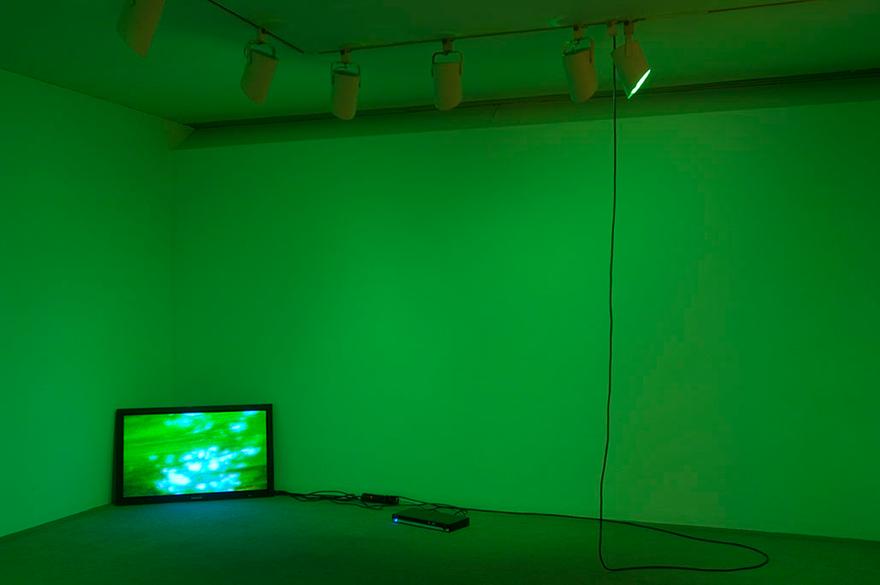 Moss Green Room , 2001 One (1) flat screen monitor, one (1) media player, Lee filters and existing architecture Installation view, University Gallery, University of Massachusetts Amherst, Amherst, Massachusetts, 2007 