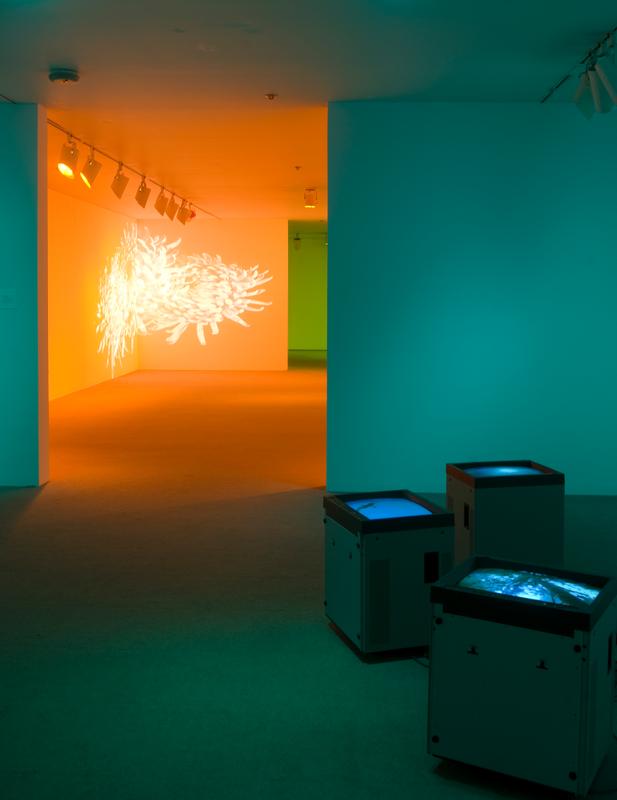 The Experience of Color : Ann Veronica Janssens & Diana Thater , 2007 Installation view, University Gallery, University of Massachusetts Amherst, Amherst, Massachusetts, 2007