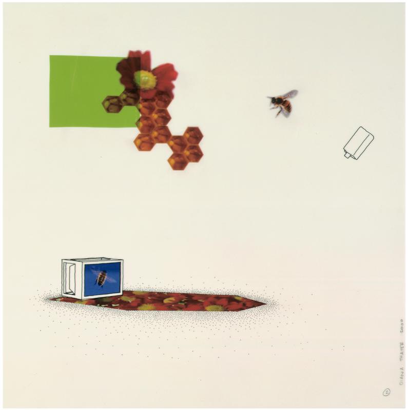 Untitled Bee Drawing , 2001 Mylar with ink, graphite, pantone film and ink jet prints  