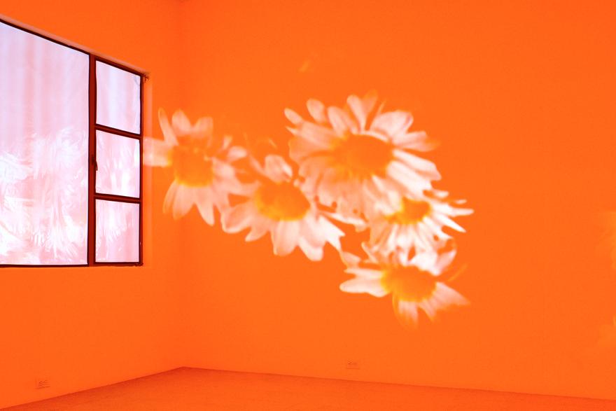 Pink Daisies, Amber Room, 2003 Two (2) video projectors, two (2) media players, Lee Filters, mylar and existing architecture Dimensions variable Installation view, 1301PE, Los Angeles, 2005 