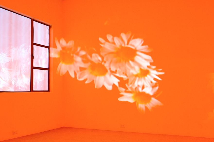 Pink Daisies, Amber Room, 2003 Two (2) video projectors, two (2) media players, Lee Filters, mylar and existing architecture Dimensions variable Installation view, 1301PE, Los Angeles, 2005  Photo by Fredrik Nilsen