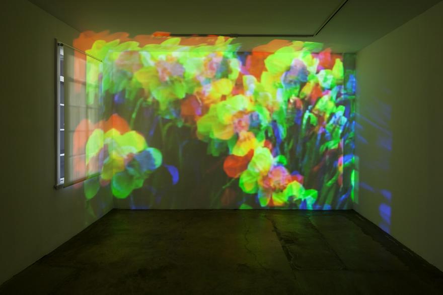 Oo Fifi, Five Days in Claude Monet's Garden, 1992 Parts 1 and 2 Four (4) video projectors, four (4) media players, Lee filters Dimensions variable Installation view, 1301PE, Los Angeles, 2012 Photo by Fredrik Nilsen  