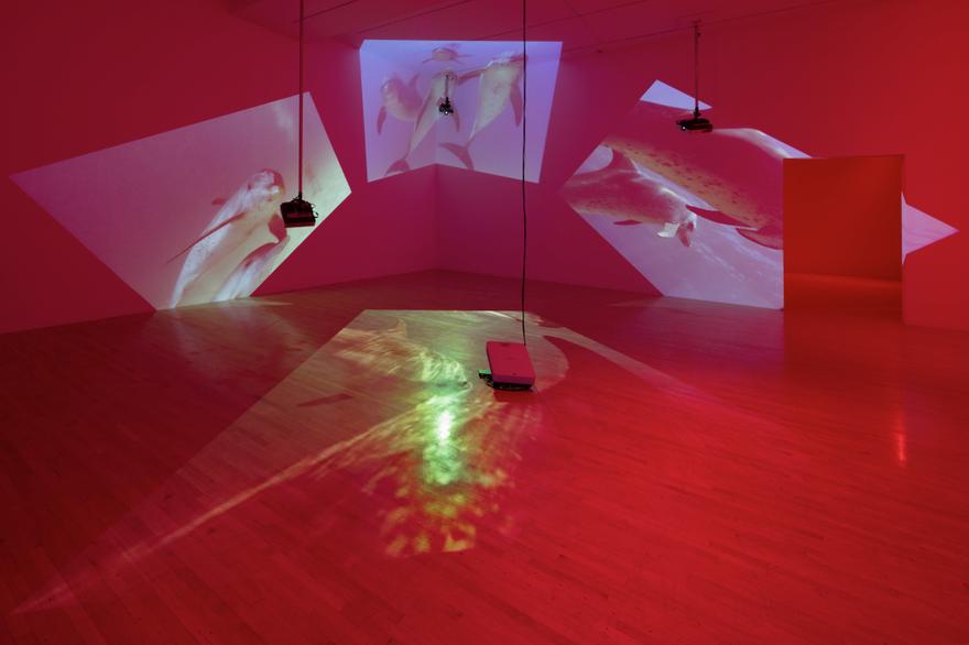 Delphine Four (4) video projectors, five (5) media players, nine (9) video monitors, 1 Synchronizer, Lee filters and existing architecture Dimensions Variable Installation view, Los Angeles County Museum of Art, Los Angeles, California, 2015