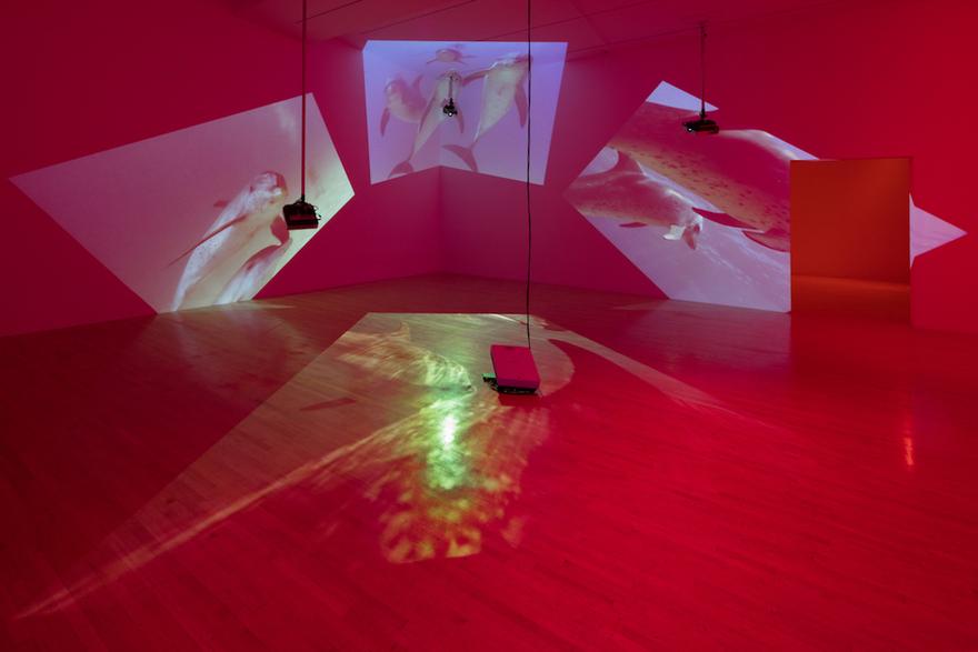 Delphine Four (4) video projectors, five (5) media players, nine (9) video monitors, 1 Synchronizer, Lee filters and existing architecture Dimensions Variable Installation view, Los Angeles County Museum of Art, Los Angeles, California, 2015