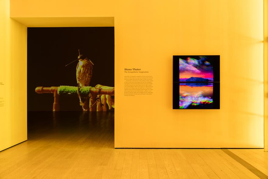 Surface Effect, 1997 Two (2) video monitors, two (2) media players Dimensions variable Installation view, Los Angeles County Museum of Art, Los Angeles, California, 2015  