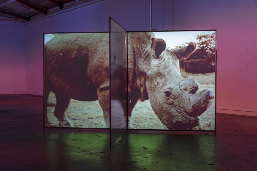 As Radical as Reality , 2017 Two (2) custom screens, two (2) video projectors, two (2) media players Installation view, The Mistake Room, Los Angeles 2017