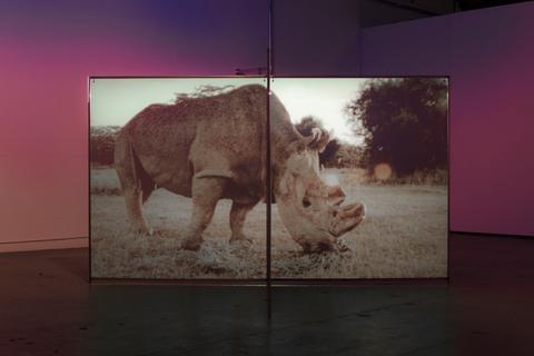 20170501 Mr Thater 010