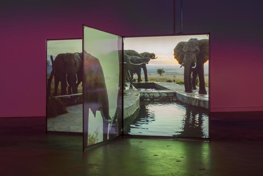 A Runaway World , 2017 Two (2) custom screens, two (2) video projectors, two (2) media players  Installation view, The Mistake Room, Los Angeles 2017 