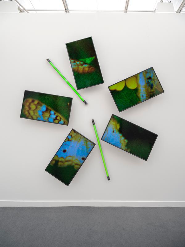 Natural History Two , 2019 One (1) five-monitor video wall, one (1) media player and two (2) LED light fixtures  Installation view, David Zwirner, NY 