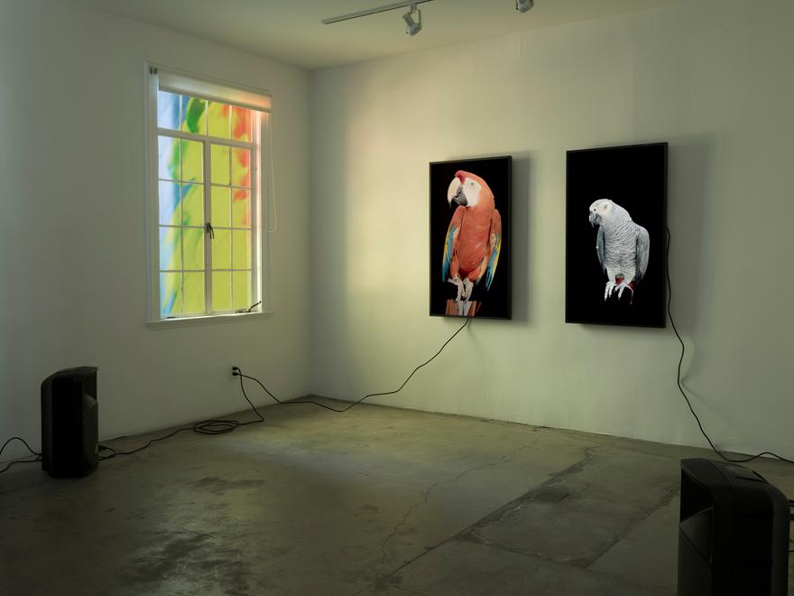 The Conversation , 2021 Four (4) flat panel monitors, four (4) speakers, window film and existing architecture Photo by Fredrik Nilsen Installation view 1301PE, Los Angeles, CA  