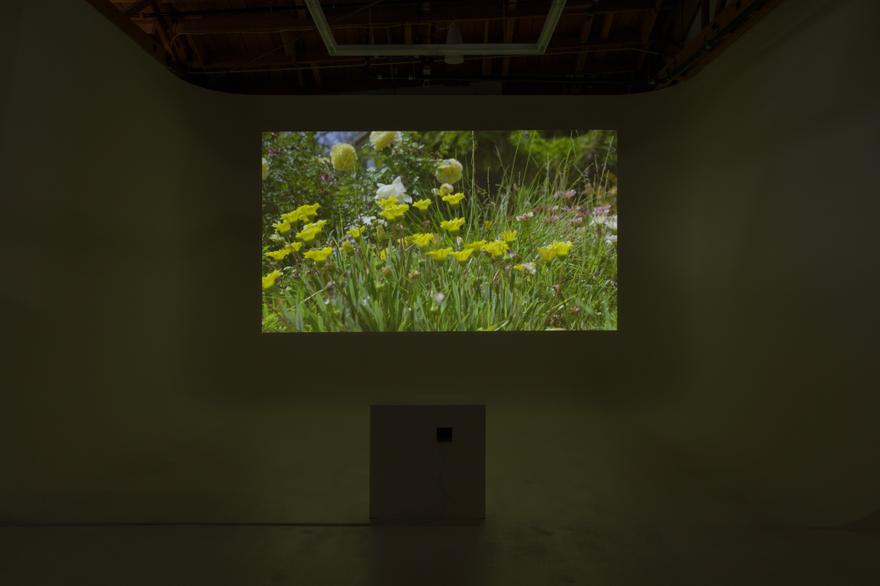 Various Untitled Flower films, 2022 One (1) video projector, one (1) media player Installation view, Des Artistes, 2026 Photo by Deen Babakhyi