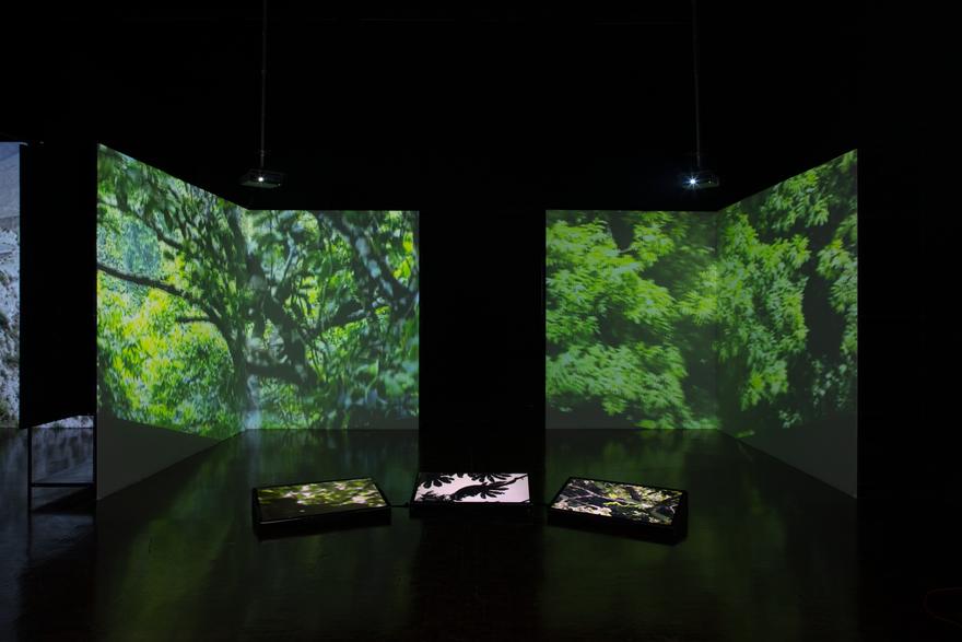 Continuous. Contiguous. , 2005 4 Video Projectors, 3 Flat screen monitors, 7 DVD Players, 7 DVDs, 1 Synchronizer and existing architecture Dimensions variable Photography: Ramiro Chaves Credit: CIAC A.C. Installation view, Laboratorio Arte Alameda, Mexico City, 2021