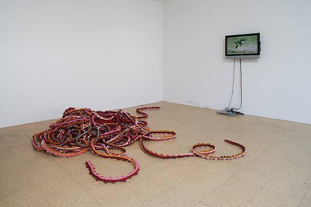 Shilo , 1995 One (1) monitor, one (1) media player Dimensions variable Installation view, 1301PE, Los Angeles, CA 2007