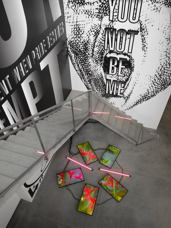 Natural History One Redux (2024) , 2024 Five (5) monitors, one (1) player, and two (2) LED light fixtures On view at David Zwirner, 2024