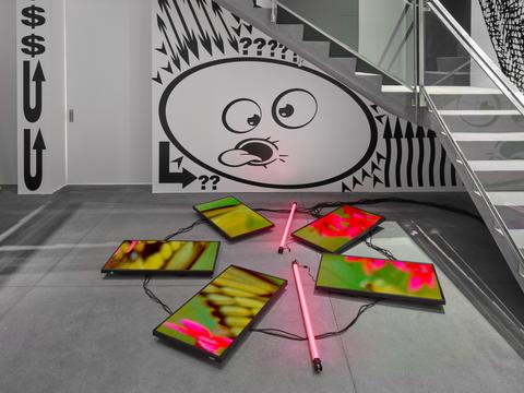 Natural History One Redux (2024), 2024