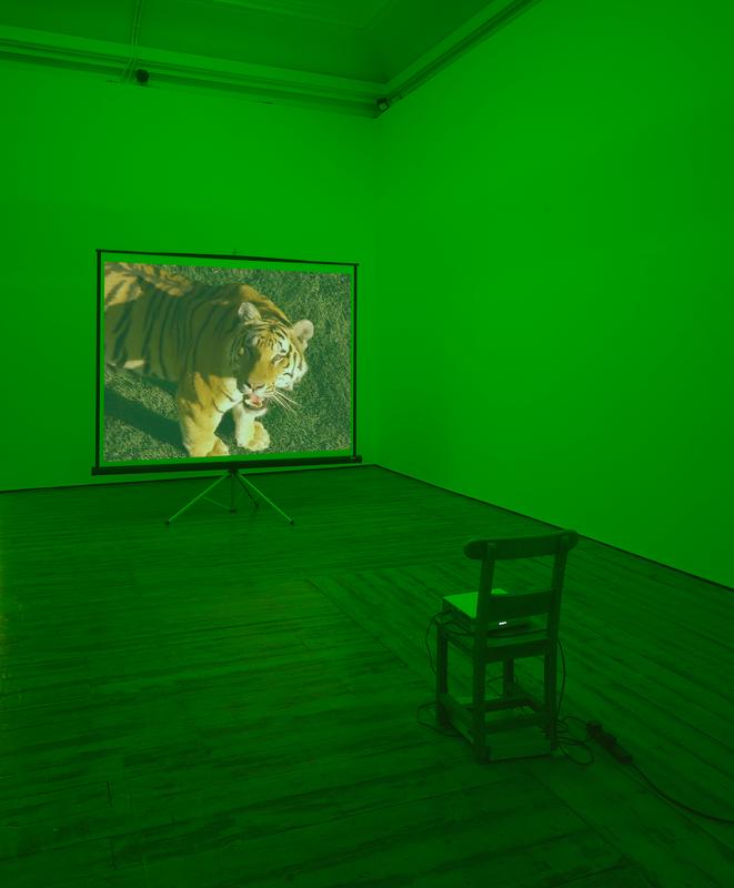 Perfect Devotion Two , 2005 One (1) video projector, one (1) media player, one (1) screen on a tripod, one (1) wooden chair, green gels and existing architecture Dimensions variable Installation View, Haunch of Venison, London, 2005  Photo by Keith Davey