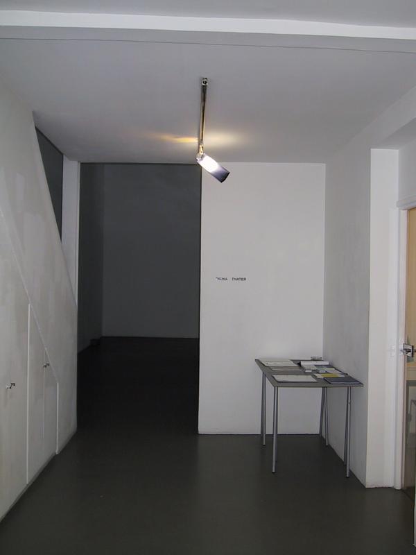 Diana Thater Installation view, Galerie Hussenot, Paris, 2002