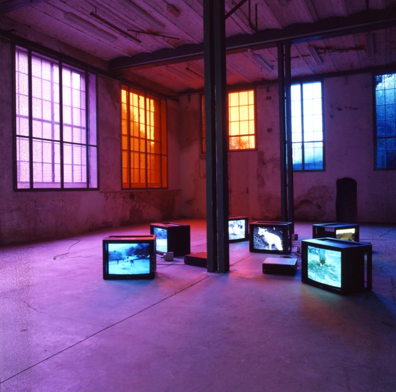 From China To Shilo Part 1 (Left side)  From China To Shilo Part 2 (Center) Shilo (Right side)  Each work: Two (2) media players, two (2) video monitors Installation view, Le Creux de l'Enfer Centre d'Art Contemporain a Thiers, Theirs, France, 1995