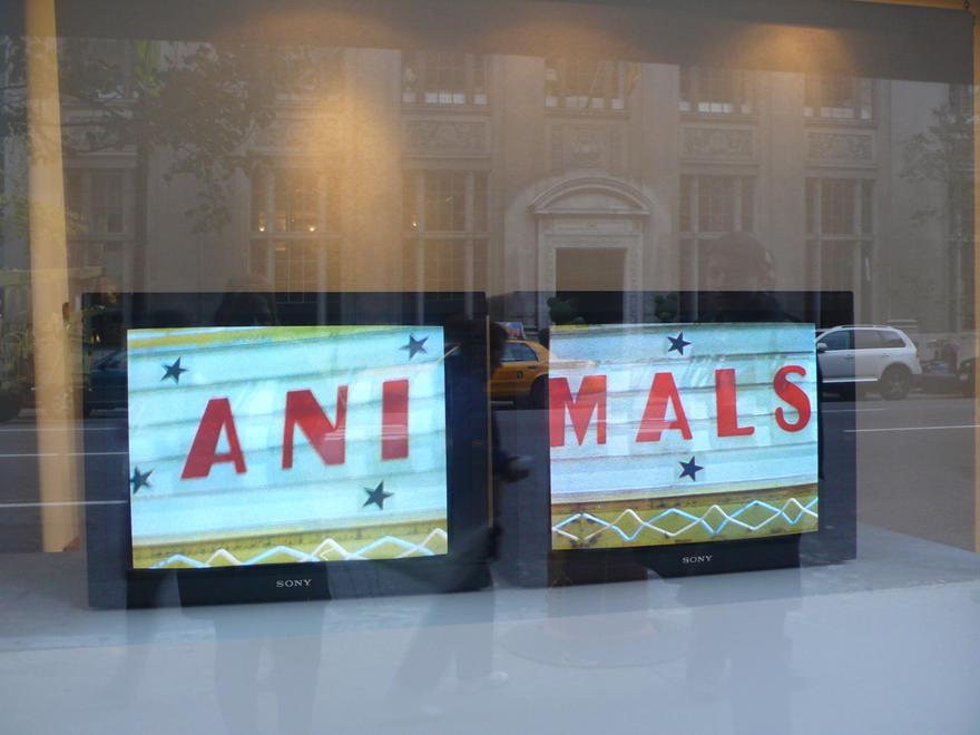 A Series of Events, 2003 Two (2) video monitors, two (2) media players, one (1) synchronizer Dimensions variable Installation view, Whitney Museum of American Art, 2008 