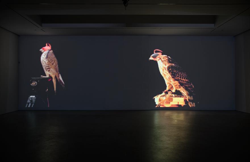 A Cast of Falcons , 2008 Two (2) video projectors, two (2) media players, one (1) synchronizer, one (1) Source Four light Dimensions variable Installation View, David Zwirner, New York, 2008 