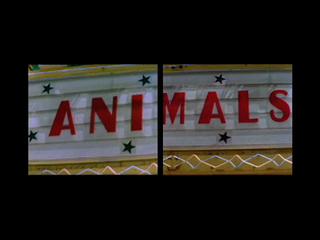 A Series of Events , 2003 Two (2) video monitors, two (2) media players and one (1) synchronizer Dimensions variable