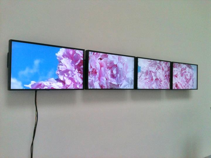 Untitled (Ann and Chris) , 2011 Four (4) monitors, one (1) media player Dimensions variable Installation view, Galerie Hussenot, Paris, France 