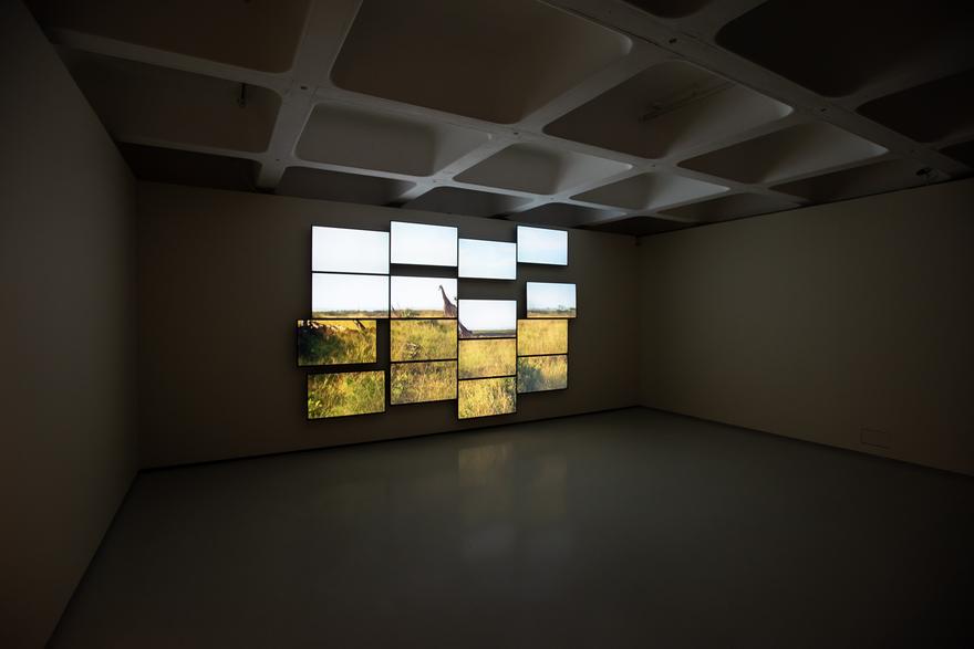 RARE, 2008 One (1) media player, sixteen (16) flat panel monitors, one (1) distribution amplifier Dimensions variable Installation view at the Barbican Art Gallery, London, UK Photo by Max Colson