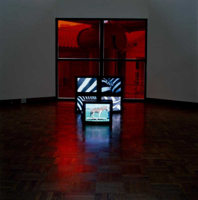 The best animals are the flat animals, Stacked monitors , 1998 Five (5) video monitors, five (5) media players Installation view, Allen Memorial Art Museum, Oberlin College, Oberlin, OH, 1998  