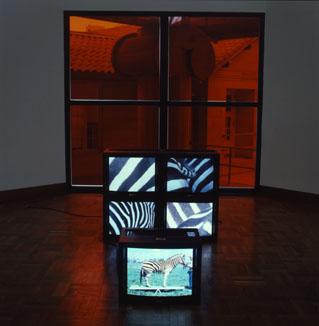 The best animals are the flat animals, Stacked monitors , 1998 Five (5) video monitors, five (5) media players Installation view, Allen Memorial Art Museum, Oberlin College, Oberlin, OH, 1998