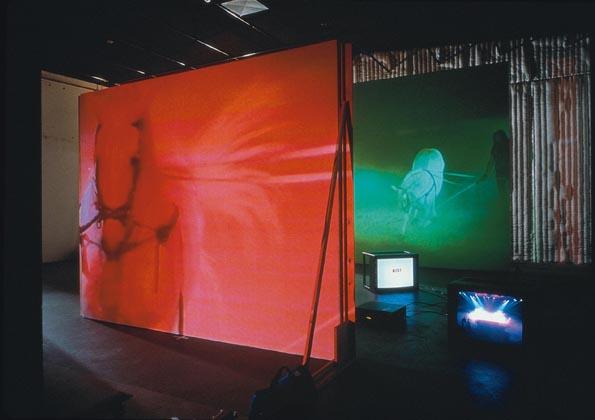 The Best Space is the Deep Space , 1998 Two (2) video projectors, two (2) video monitors, four (4) media players, free standing wall and existing architecture Installation View, HZKM Zentrum fur Kunst und Medientechnologie, Karlsruhe, Germany, 2003 