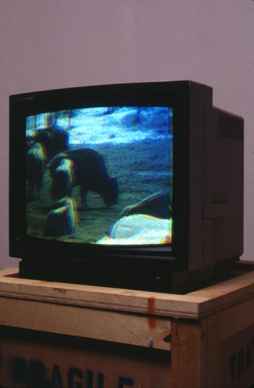 Bison Prototype , 1994 One (1) altered video monitor, one (1) media player  