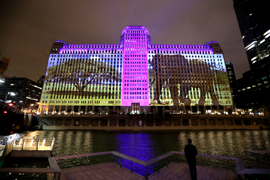 True Life Adventures , 2018 Digital video projection on existing architecture Installation view, Merchandise Mart, Chicago, Illinois Sound by T. Kelly Mason