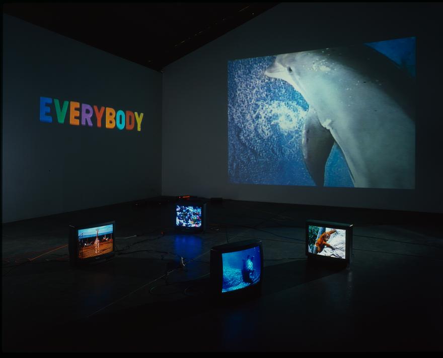 The Caucus Race , 1998 Two (2) video projectors, four (4) video monitors, six (6) media players, one (1) synchronizer and Lee Filters Installation view, Patrick Painter, Santa Monica, CA, 1999